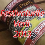 Festivalurile verii 2013 Festivalurile verii 2013