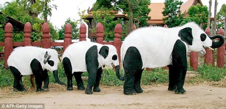 elephant-panda1