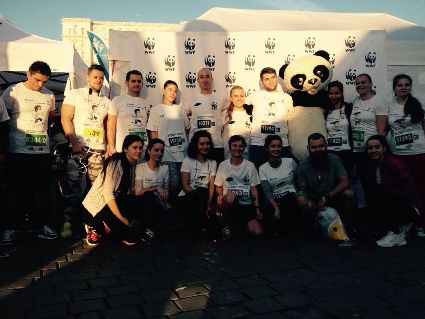 Team Panda @ RBM 2015